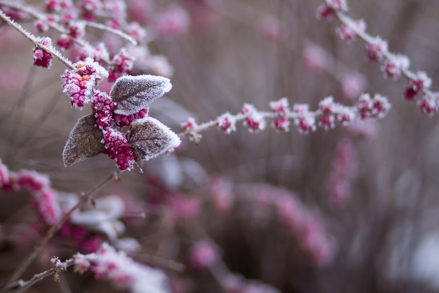 January